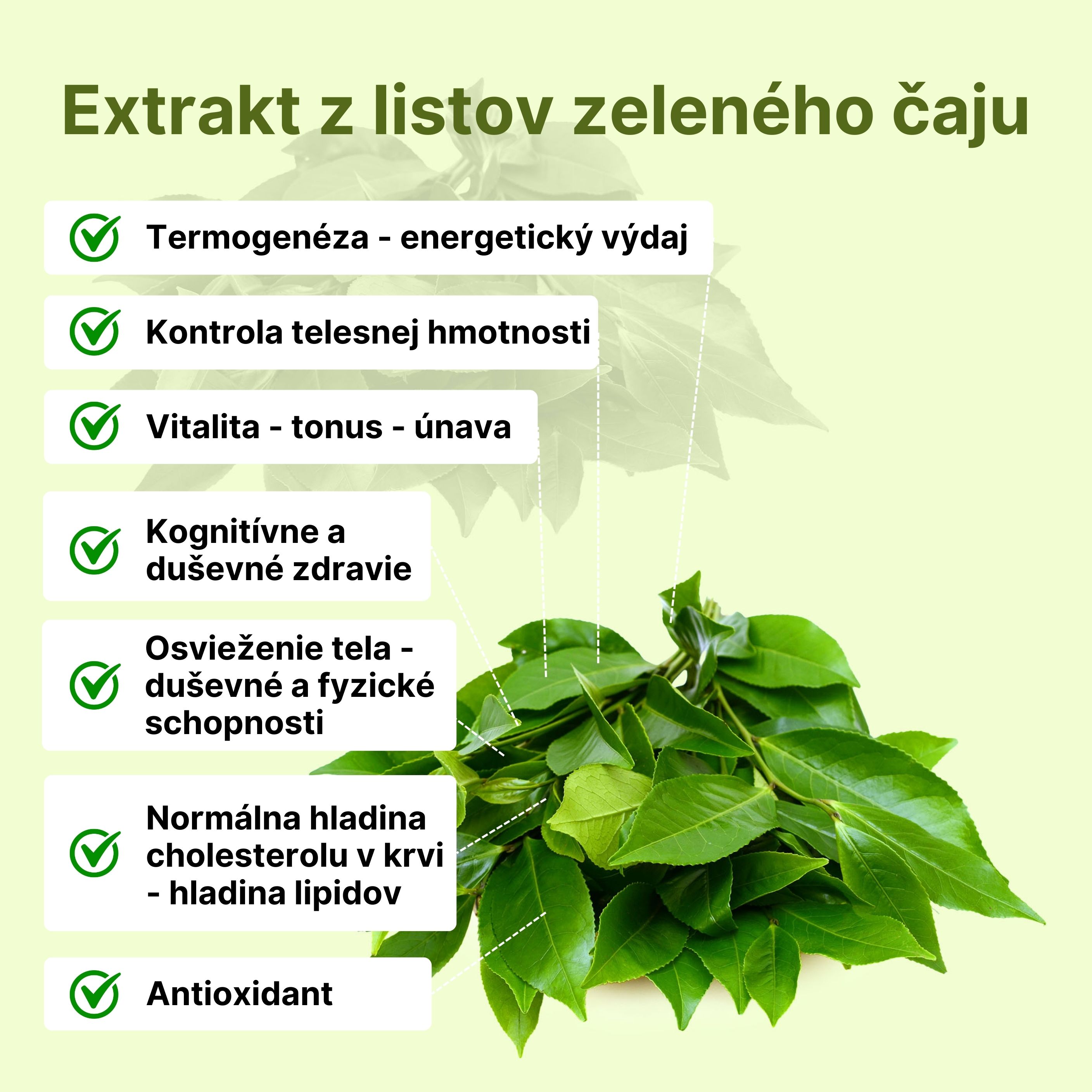 (Slovenčina) - 2024-07-08T120842.577